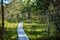 wavy wooden foothpath in swamp forest tourist trail