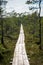 wavy wooden foothpath in swamp forest tourist trail