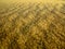 Wavy yellow sand texture background