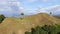 Wax palms natural in the mountains of Colombia