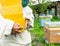Wax in round forms in the hands of the beekeeper. Beekeeping work on the apiary. Selective focus.