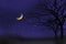 Waxing moon night scene