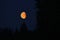 Waxing moon in vibrant orange color on night sky