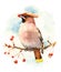 Waxwing Bird on the branch with berries Watercolor Fall Illustration Hand Painted