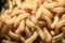 Waxworms on an edible insect farm close-up