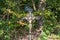 Way cross in the Bavarian Forest near Grafenau, Germany