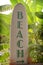 Way to Beach Sign on Surf Board with Palms