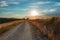 Way to Capella Vitaleta, val D`Orcia, Tuscuny, Italy, 16 of July 2017. Capella Vitaleta, back view, sunset