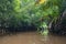 Way to Kayaking at Klong Sung Nae, Thailand\'s Little Amazon.