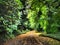 the way to paradise-Biddulph Grange Stately Home & Gardens, Staffordshire, England