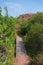 Way to reach Welded tuff, massive volcanic pink rocks of Rao Jodha Desert Rock Park