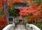 Way to a small shinto shrine in autumn