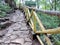 Way to Vazhachal Falls, Thrissur, Kerala