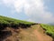 Way towards the tea plantations in Munnar, Kerala, India
