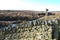 Waymarker and dry stone wall on moorland