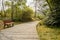 Wayside bench in sunny spring