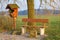 Wayside cross with bench
