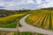 A wayside cross in the vineyards of Kiedrich / Germany in autumn