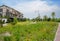 Wayside flowers before countryside dwelling building in sunny summer