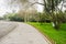 Wayside lawn in verdant spring