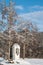 A wayside shrine with an image of the madonna