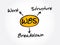 WBS - Work Breakdown Structure acronym, business concept