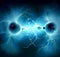 Weak nuclear force in subatomic particles abstract