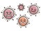 Weaken corona Virus.covid-19. White background