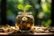 Wealth cultivation Glass piggy bank on a tree, gold coins