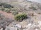 The wealth of Cypriot gardens, the fertility and generosity of nature near the ruined war village of Vrestia.