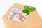 Wealth, success, business, lucky investment, win, jackpot concept. Money and shamrock. Lucky talisman. Salary, income. Euro
