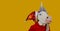 Wears a unicorn mask and a santa hat, web banner