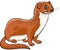 Weasel animal cartoon illustration