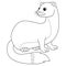 Weasel Animal Isolated Coloring Page for Kids