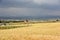 Weat fields in village under sky