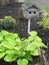 A weather beaten birdhouse and a beautiful plant