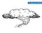 weather elements, tornado, vector illustration