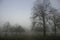 Weather / landscape: The sun sets on a foggy Autumn / Fall day over the park. 2