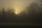 Weather / landscape: The sun sets on a foggy Autumn / Fall day over the park. 4