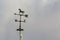 Weather vane with arrow and horse