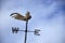 Weather vane rooster