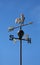 Weather vane to indicate the wind direction with a rooster in wr
