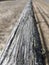 Weather worn sun dried mossy ranch fence posts field