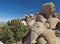 Weatherbeaten desert rocks