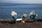 Weathered Adirondack Chairs on Dock