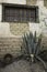 Weathered adobe building with cactus