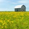 Weathered Barn