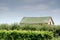 Weathered barn in a Michigan orchard