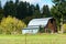 Weathered Barn in Washington`s Skagit Valley