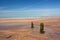 Weathered Beach groynes on Westward Ho